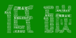 开云手机登录中心_开云online（中国）邀您共享低碳“盛宴”